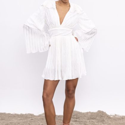 DIONE PLEATED DRESS BE A BEE